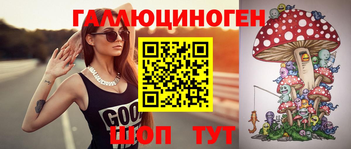 Псилоцибиновые грибы Psilocybe Южноуральск